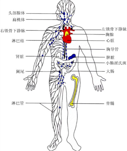 微信截图_20221009171924