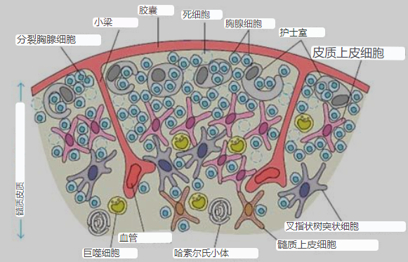 微信截图_20221009172203