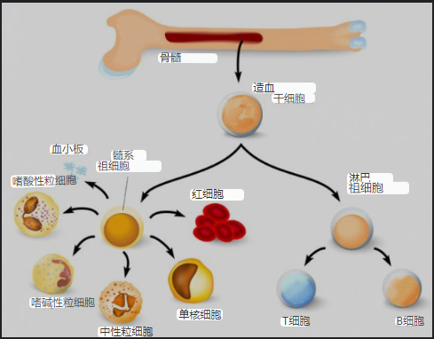 微信截图_20221009172911