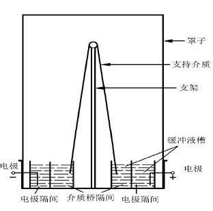 图6-1 垂直式电泳槽装置示意图