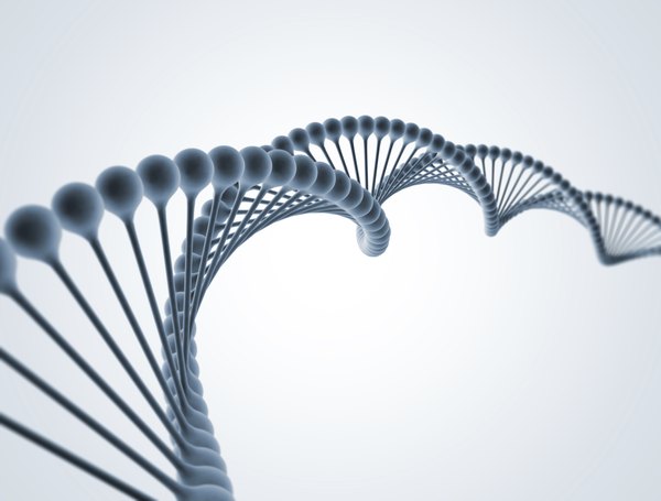 DNA可以使用凝胶电泳进行分析。
